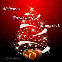 /album/kepgaleria-karacsonyi-kezdolap/karacsonyi-maskepeslap-3-png/